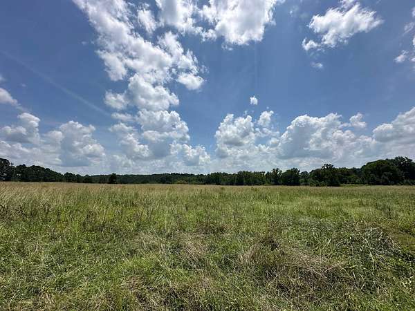 10 Acres of Land for Sale in Philadelphia, Mississippi