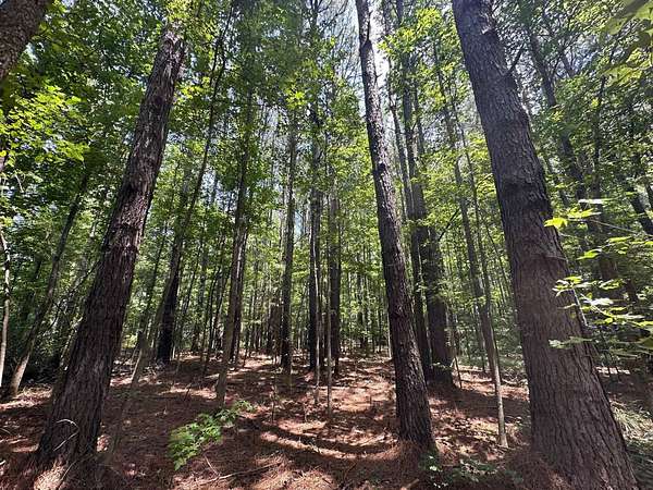18 Acres of Recreational Land for Sale in Philadelphia, Mississippi