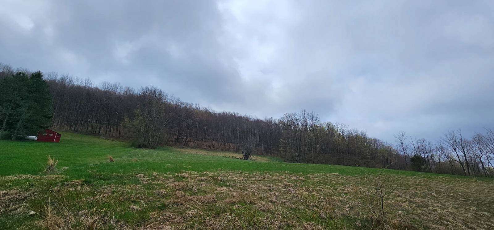 10 Acres of Recreational Land for - Fremont Center Ny 145714530