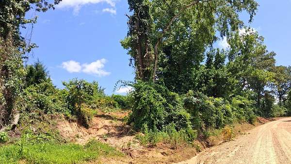 10 Acres of Recreational Land for Sale in Ashland, Mississippi