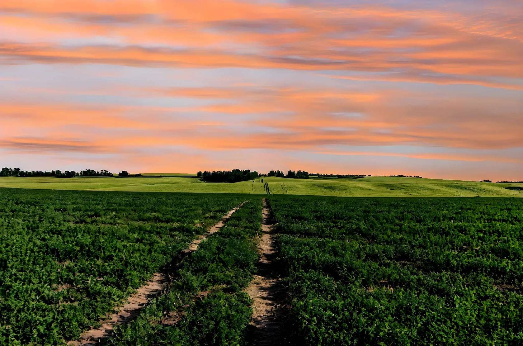 105 Acres of Recreational Land & Farm for Sale in Ashton, Idaho