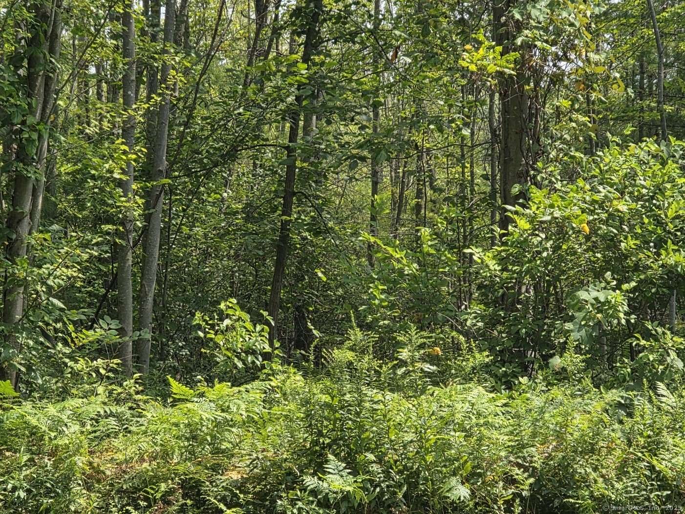 14.4 Acres of Land for Sale in Bloomfield, Connecticut