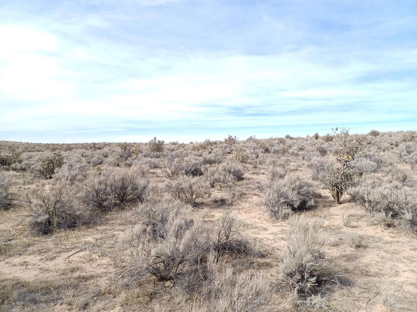 0.5 Acres of Commercial Land for Sale in Rio Rancho, New Mexico