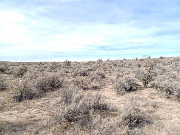0.5 Acres of Commercial Land for Sale in Rio Rancho, New Mexico