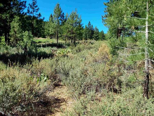 0.47 Acres of Residential Land for Sale in Portola, California