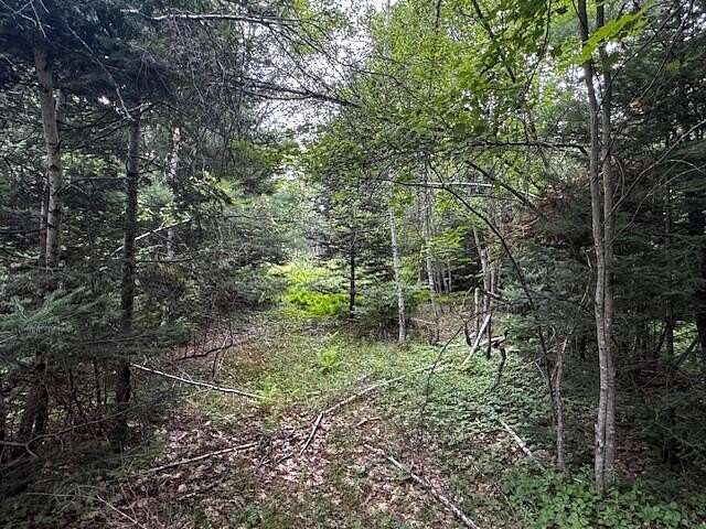5.29 Acres of Land for Sale in Palmyra, Maine