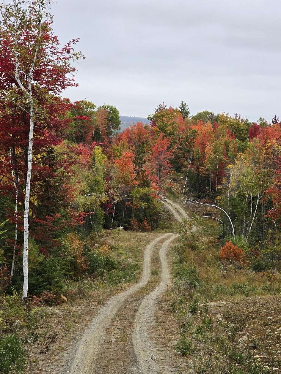 10.3 Acres of Land for Sale in Phillips, Maine
