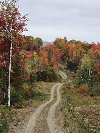 10.3 Acres of Land for Sale in Phillips, Maine