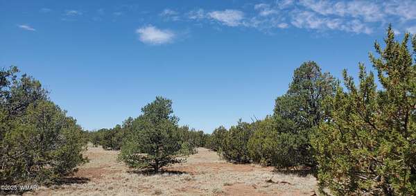 1.18 Acres of Residential Land for Sale in Concho, Arizona