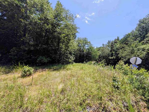 66.3 Acres of Recreational Land for Sale in Mena, Arkansas