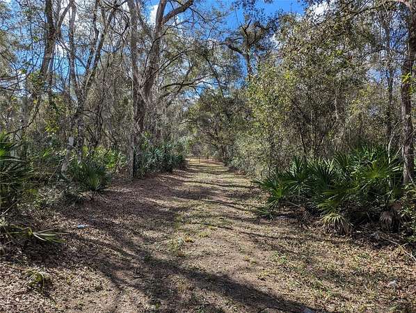0.69 Acres of Residential Land for Sale in Webster, Florida