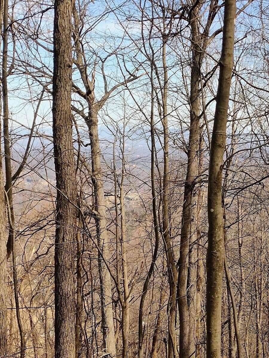 36.9 Acres of Recreational Land for Sale in Bent Mountain, Virginia
