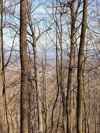 36.9 Acres of Recreational Land for Sale in Bent Mountain, Virginia