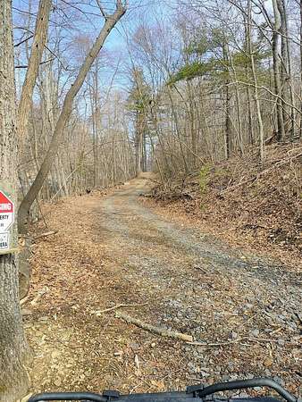 36.9 Acres of Land for Sale in Bent Mountain, Virginia