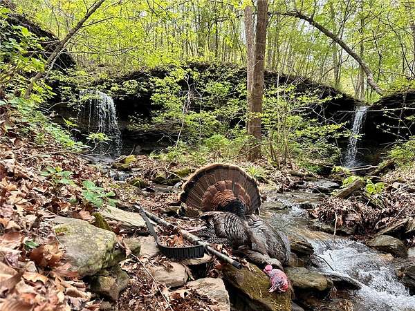 120 Acres of Recreational Land for Sale in Huntsville, Arkansas