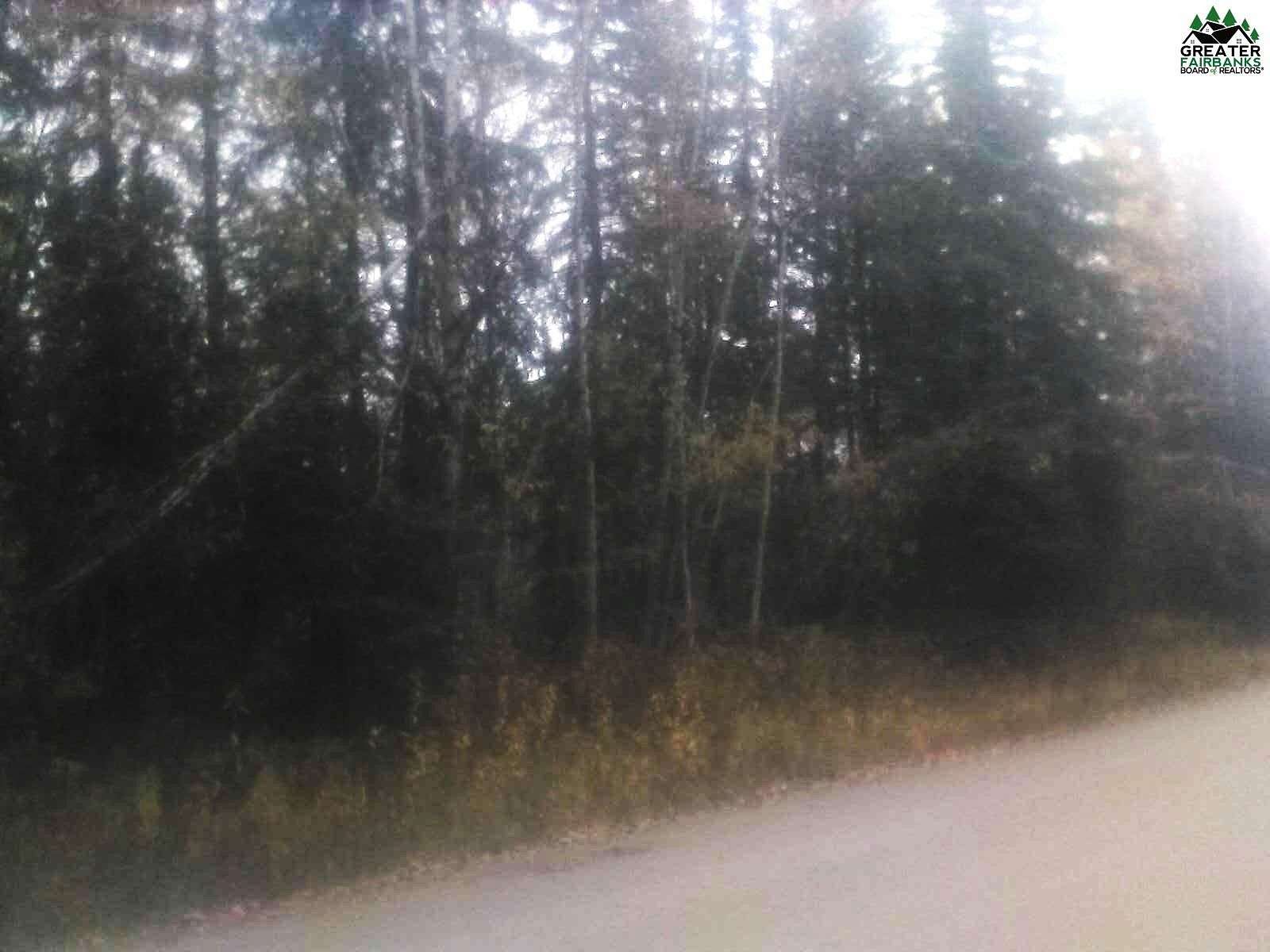 2.5 Acres of Residential Land for Sale in Salcha, Alaska