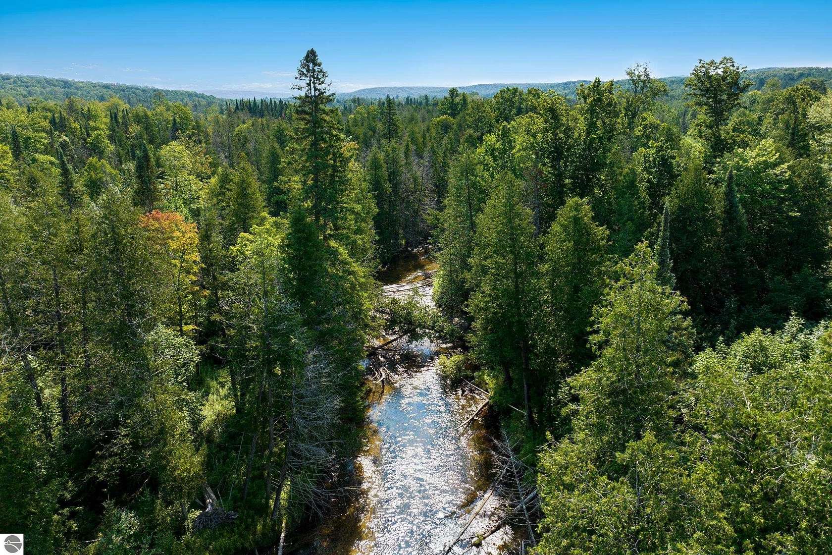 80 Acres of Recreational Land for Sale in Bellaire, Michigan