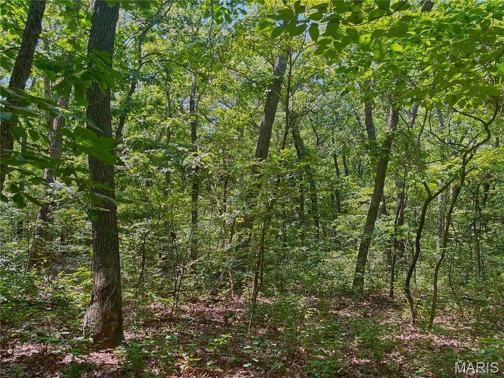 20.3 Acres of Land for Sale in South Elkhorn Township, Missouri