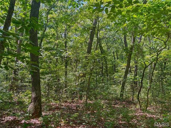 20.3 Acres of Land for Sale in South Elkhorn Township, Missouri