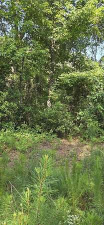 0.86 Acres of Residential Land for Sale in North Augusta, South Carolina