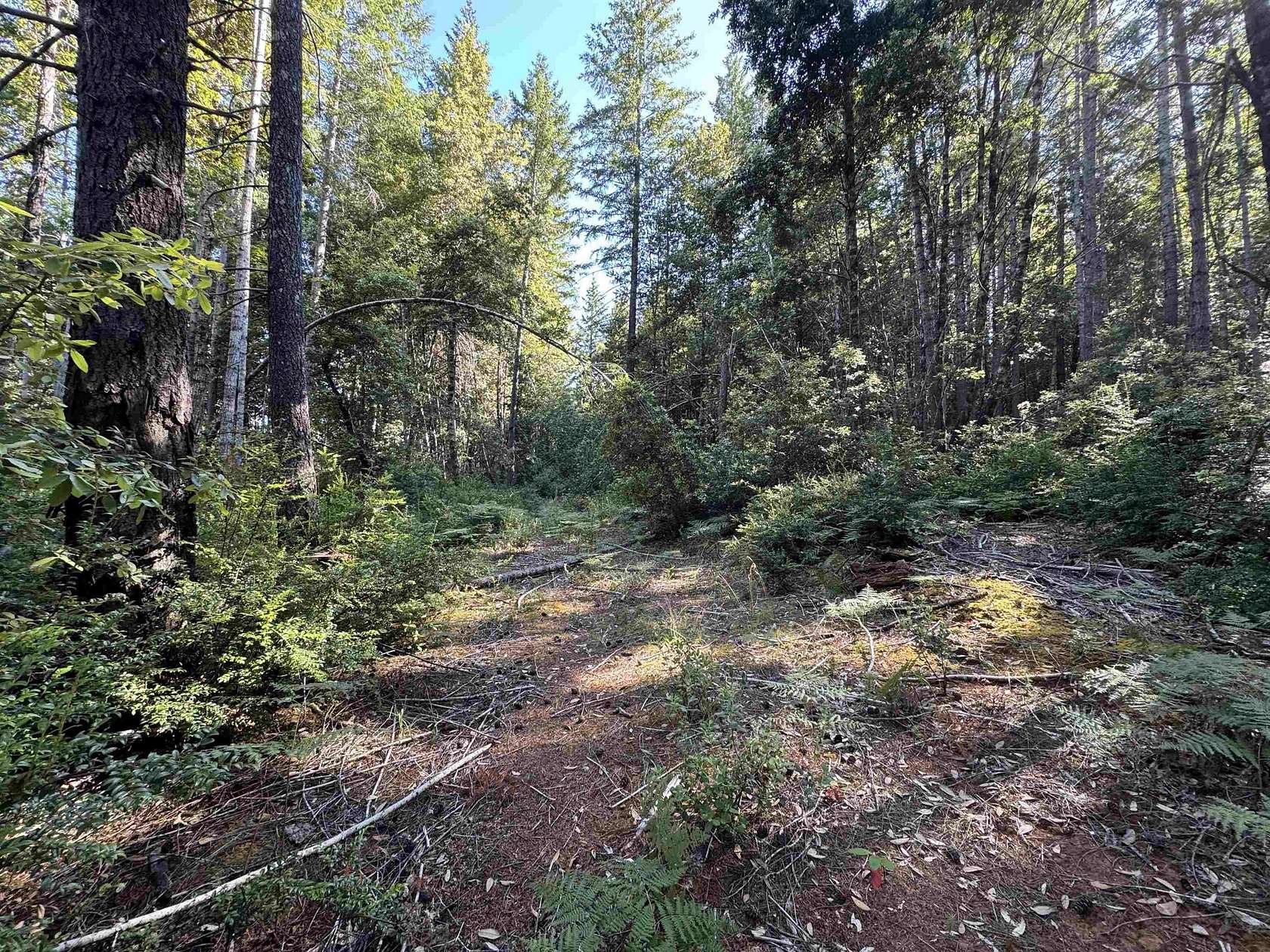 30 Acres of Recreational Land for Sale in Crescent City, California