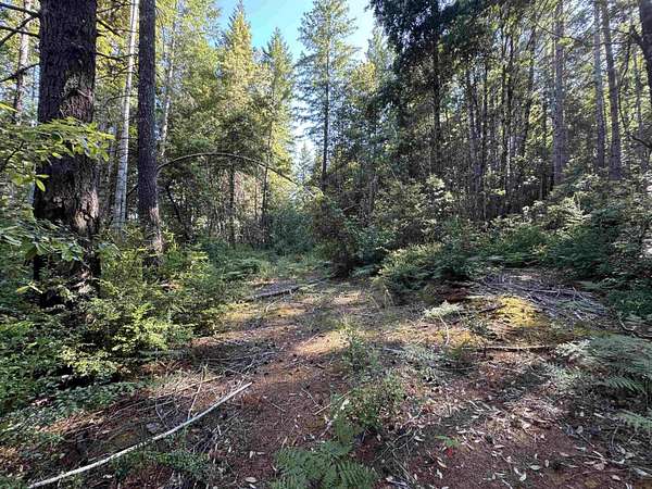 30 Acres of Recreational Land for Sale in Crescent City, California