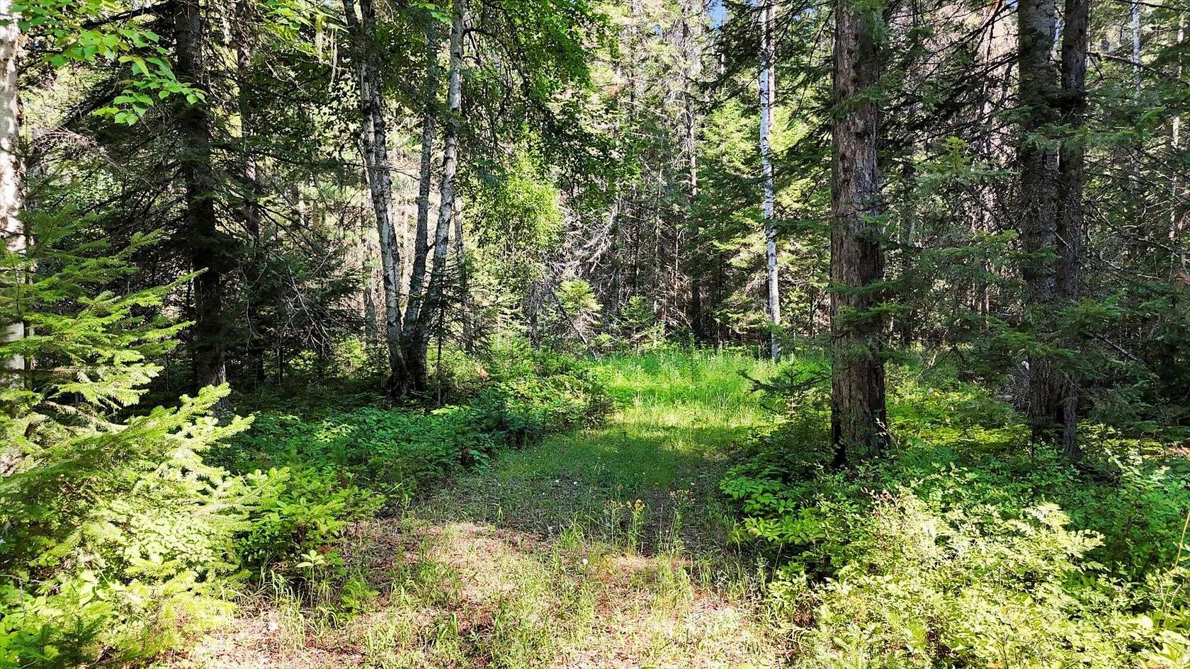 3.52 Acres of Land for Sale in Cusick, Washington