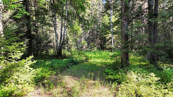 3.52 Acres of Land for Sale in Cusick, Washington