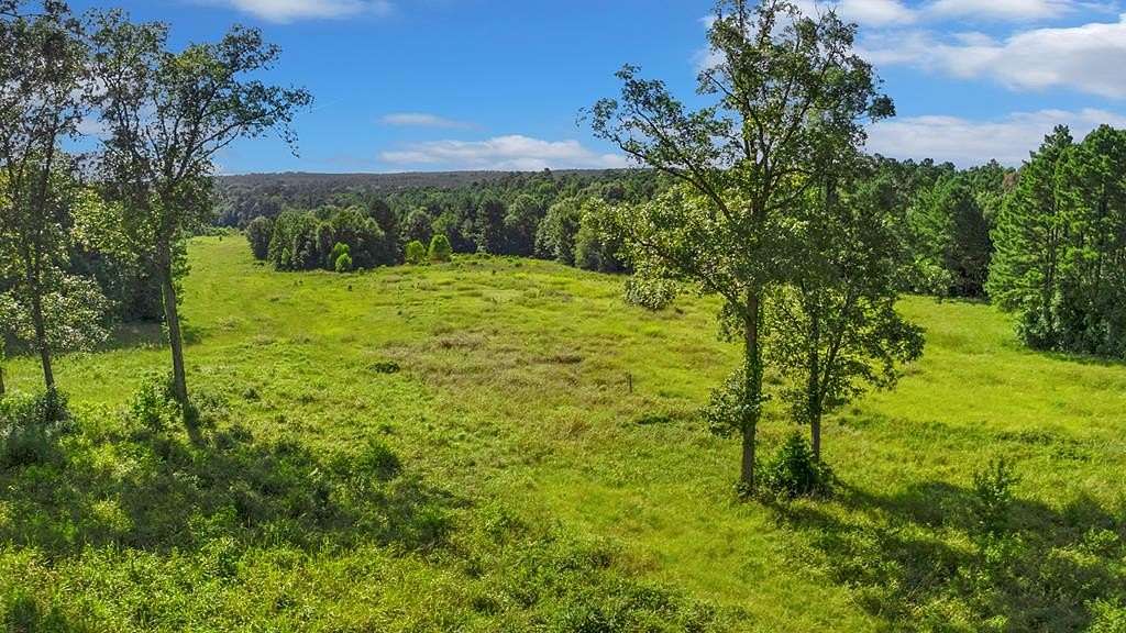 45.2 Acres of Recreational & Residential Land for Sale in San Augustine, Texas