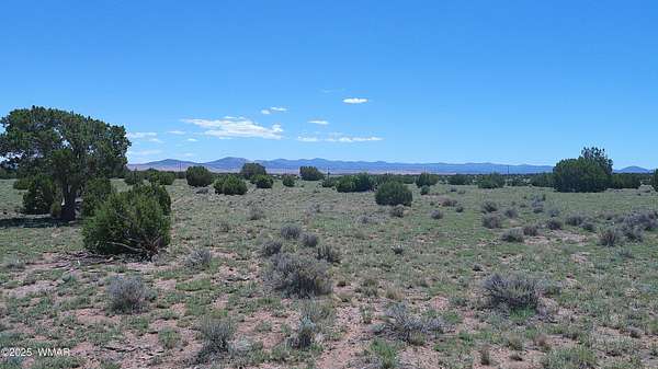 7.24 Acres of Residential Land for Sale in Concho, Arizona