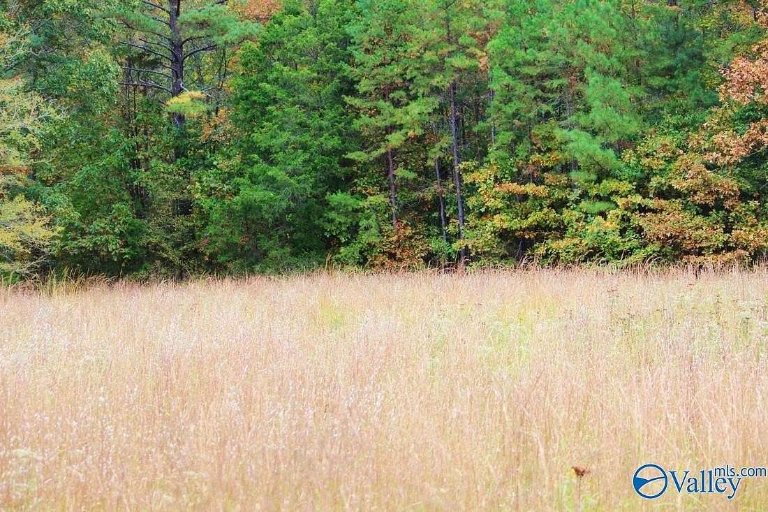 1.5 Acres of Residential Land for Sale in Decatur, Alabama