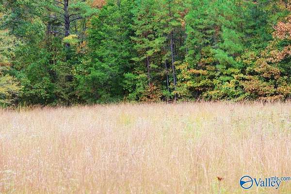 1.5 Acres of Residential Land for Sale in Decatur, Alabama