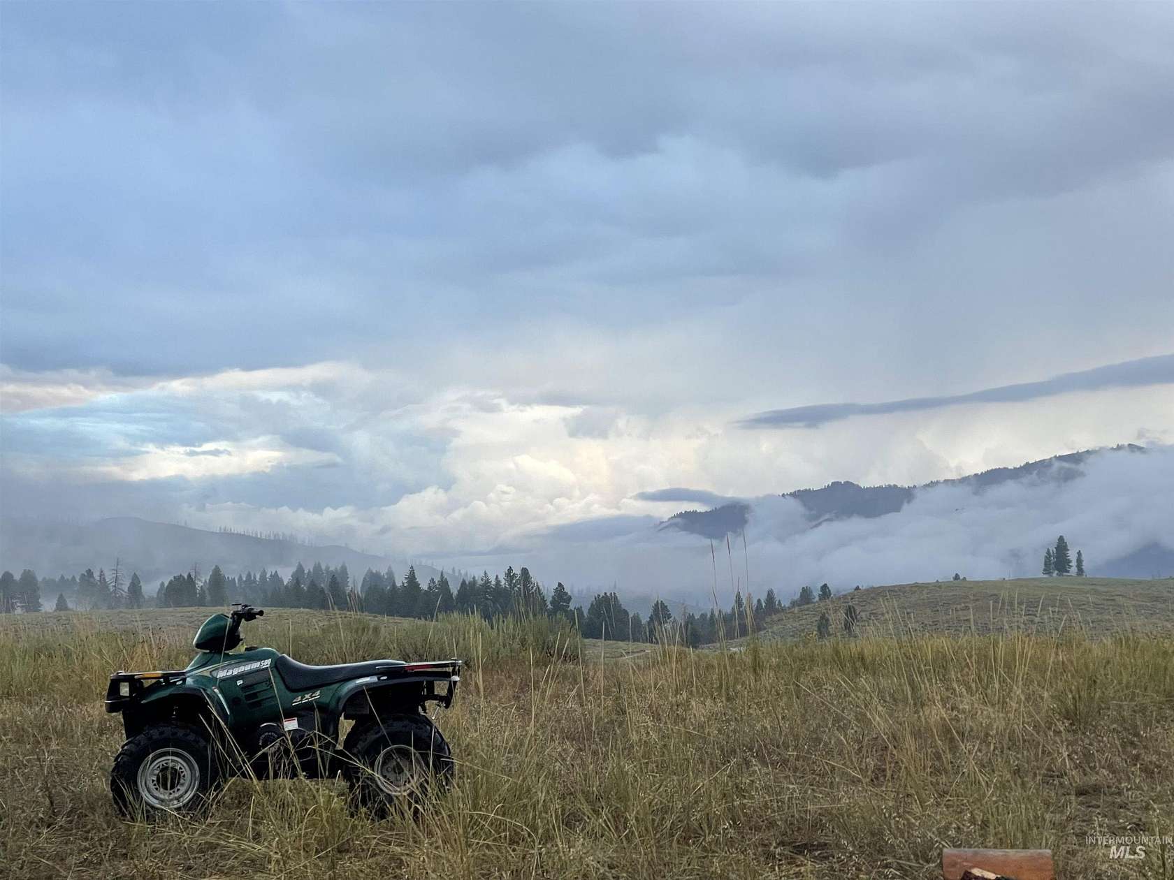 13.7 Acres of Land for Sale in Pine, Idaho