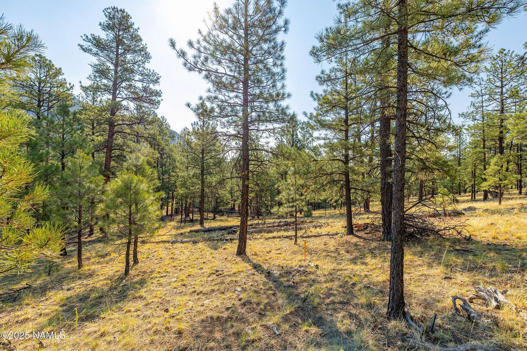 4 Acres of Residential Land for Sale in Flagstaff, Arizona