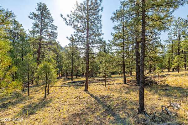 4 Acres of Residential Land for Sale in Flagstaff, Arizona