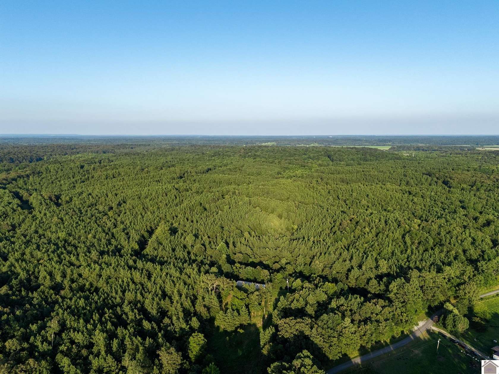 98.7 Acres of Land for Sale in Grand Rivers, Kentucky