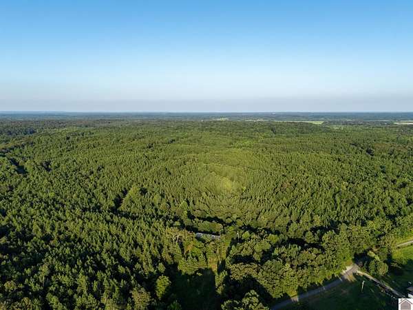 98.7 Acres of Recreational & Residential Land for Sale in Grand Rivers, Kentucky