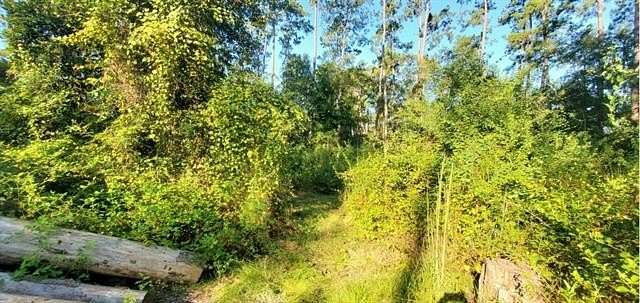 2.66 Acres of Residential Land for Sale in Lacombe, Louisiana