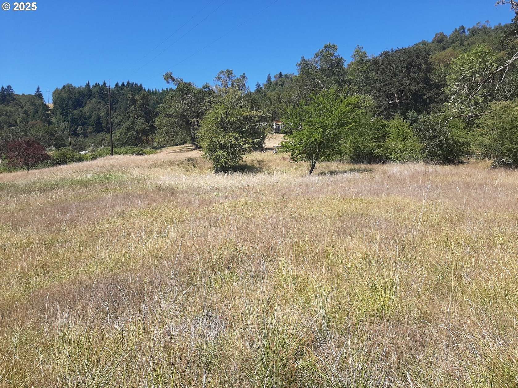 9 Acres of Residential Land for Sale in Roseburg, Oregon