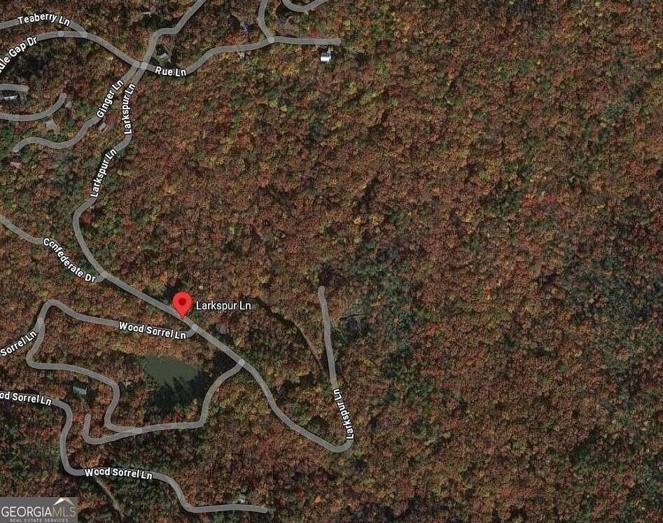 Land for Sale in Clayton, Georgia