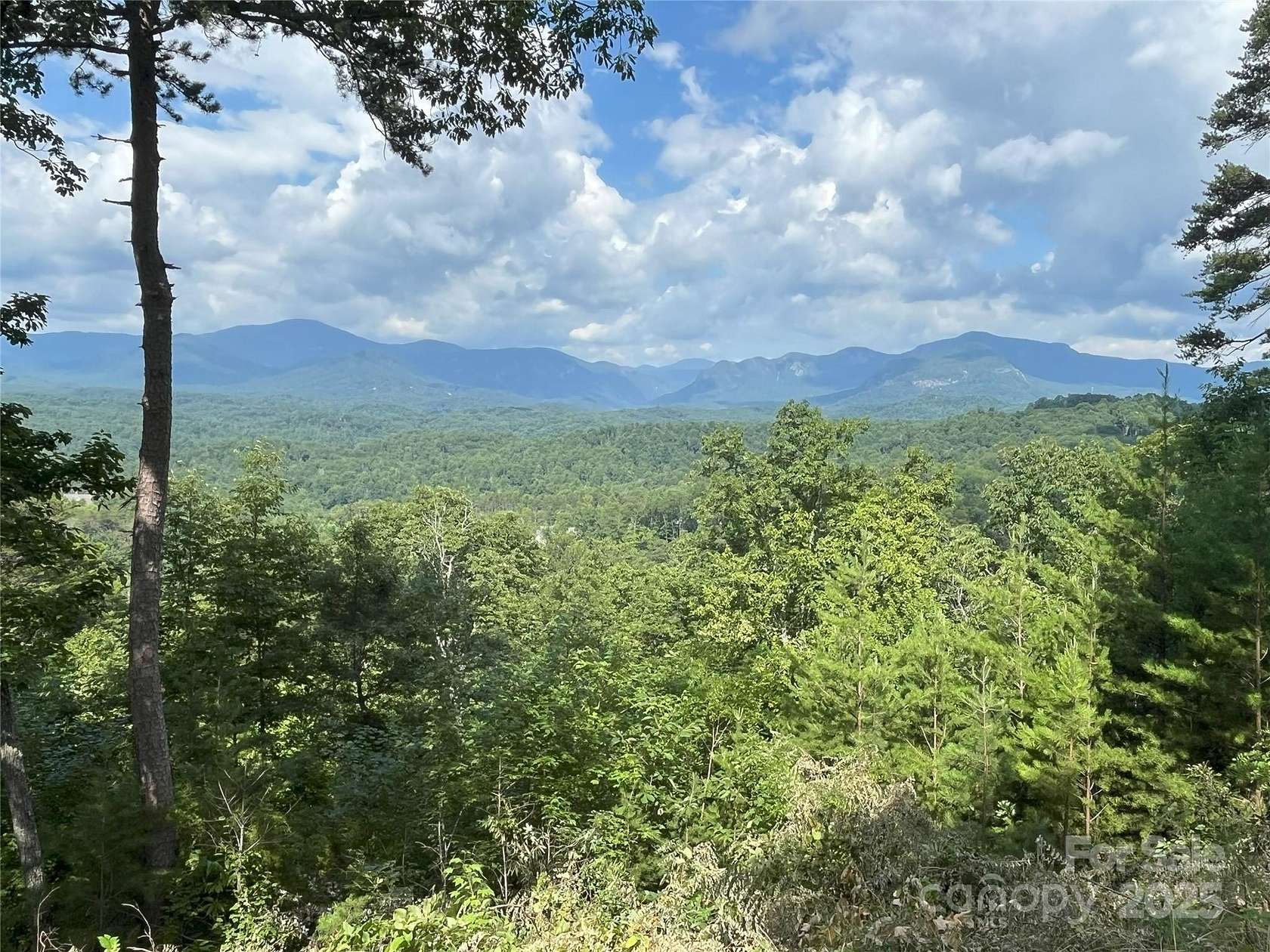 3 Acres of Residential Land for Sale in Lake Lure, North Carolina