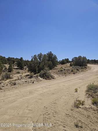 22.8 Acres of Land for Sale in Aztec, New Mexico