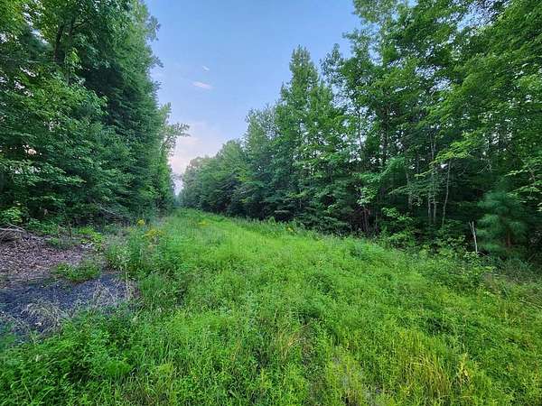9.49 Acres of Land for Sale in Burkeville, Virginia