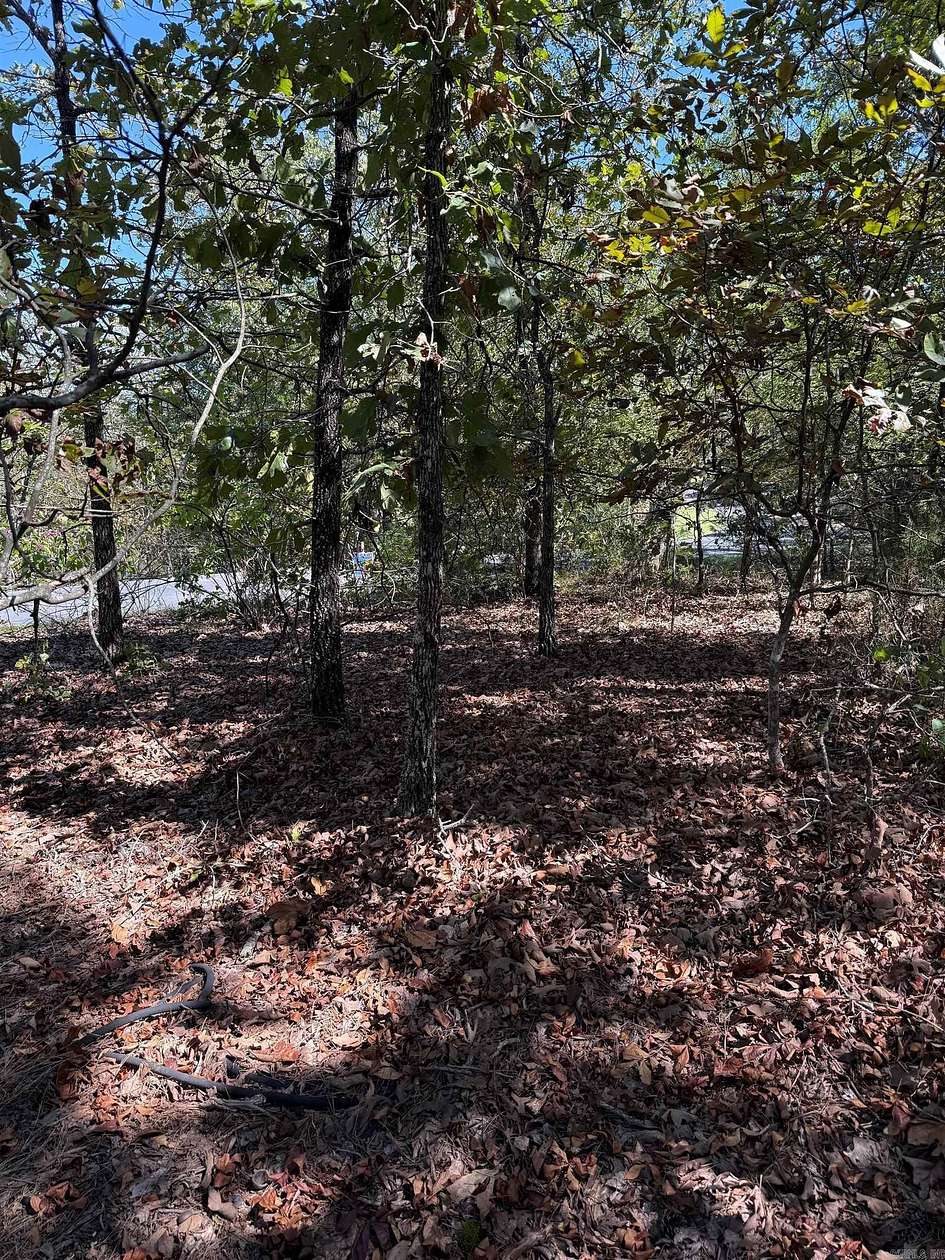 5 Acres of Residential Land for Sale in Roland, Arkansas