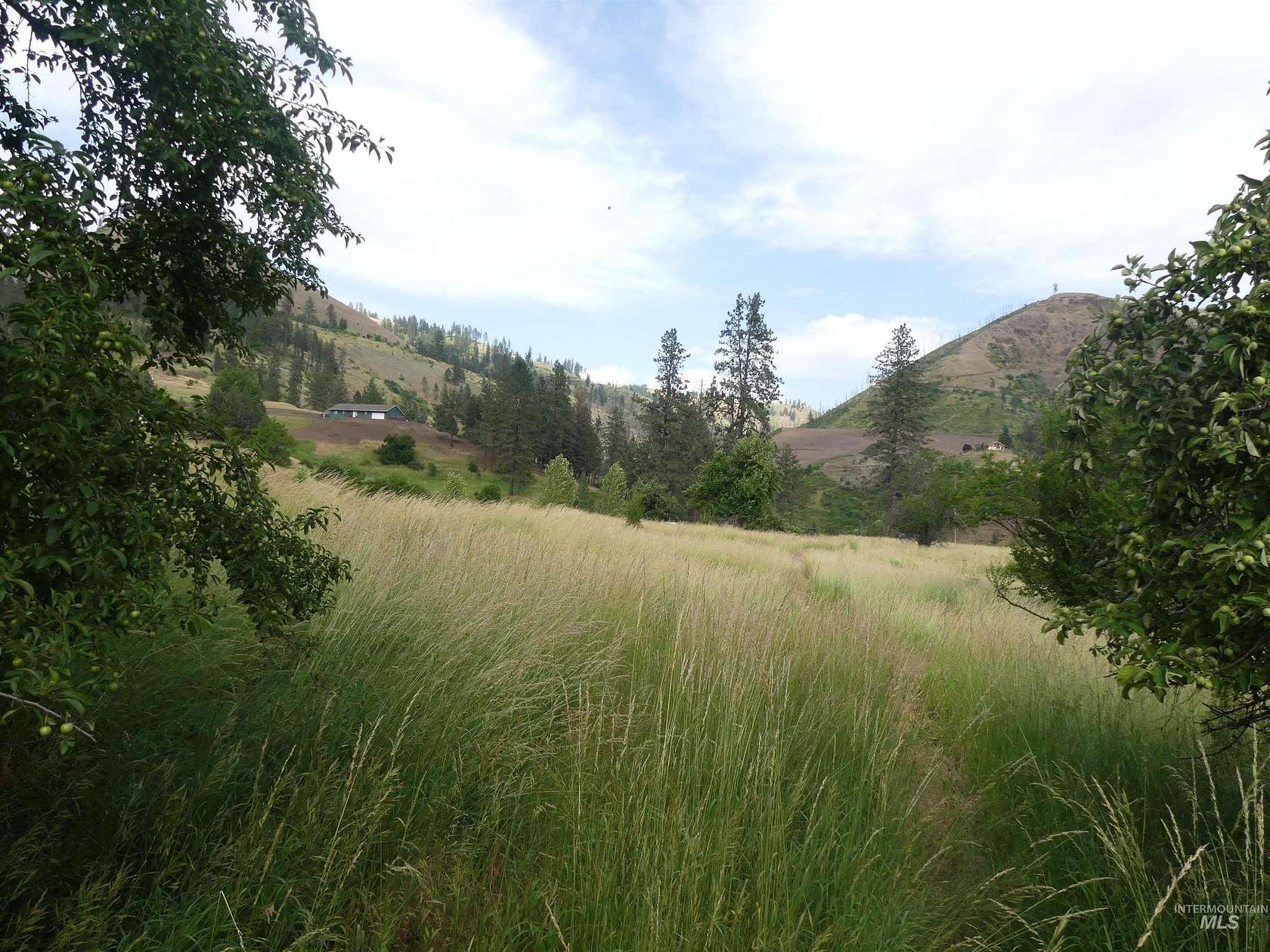 6 Acres of Land for Sale in Kamiah, Idaho