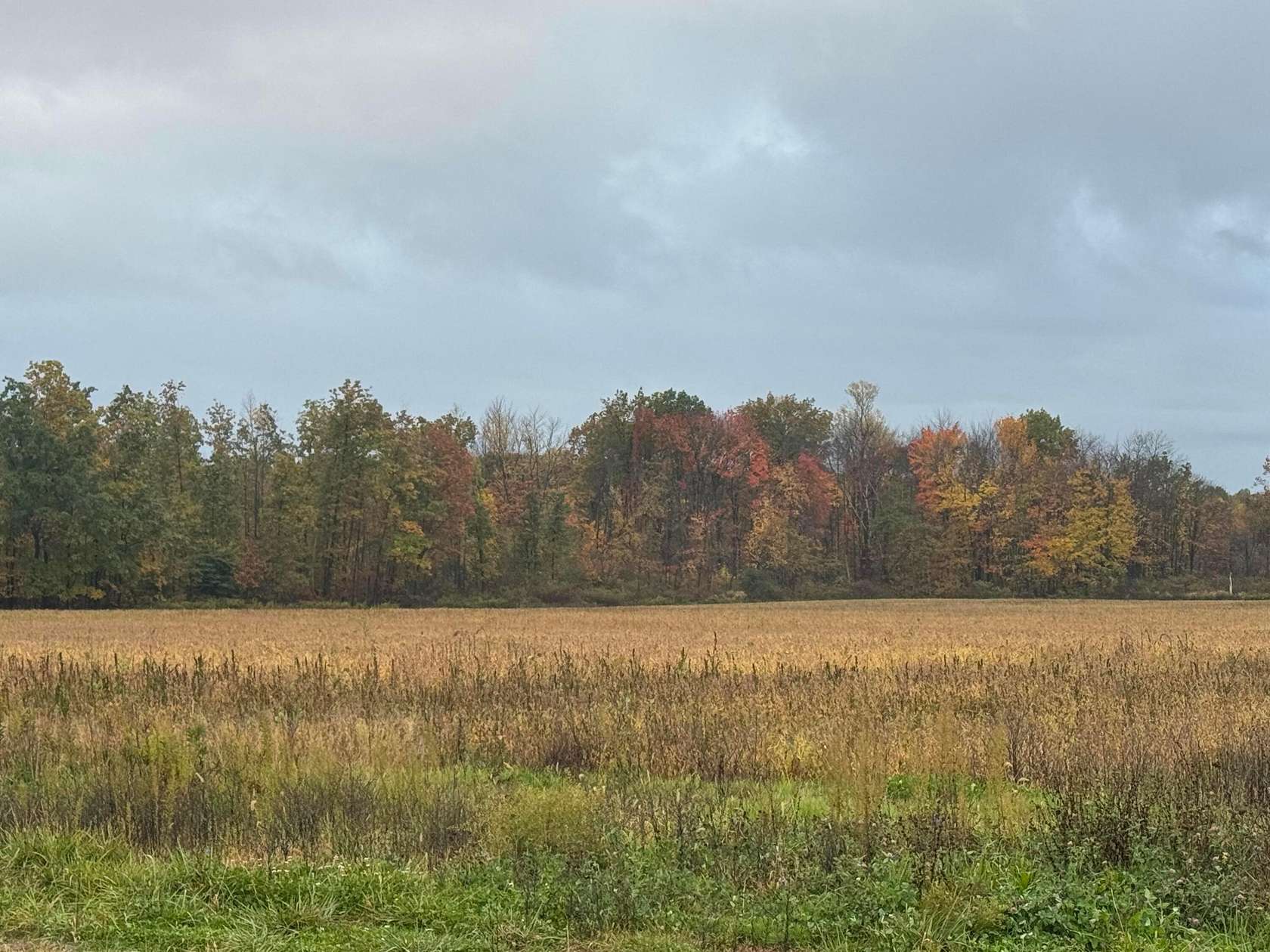 57 Acres of Agricultural Land for Sale in Austinburg, Ohio