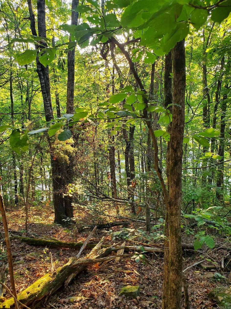 0.25 Acres of Residential Land for Sale in Fairfield Bay, Arkansas