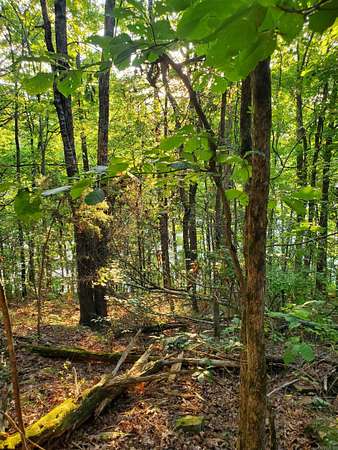 0.25 Acres of Land for Sale in Fairfield Bay, Arkansas