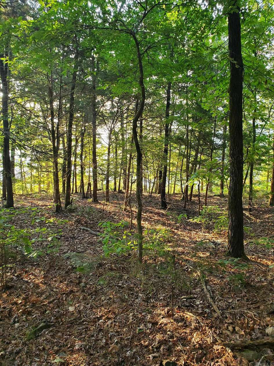 0.25 Acres of Residential Land for Sale in Fairfield Bay, Arkansas