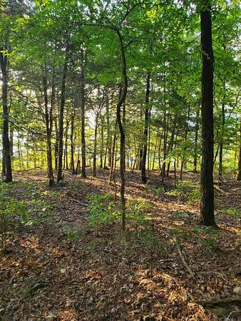 0.25 Acres of Residential Land for Sale in Fairfield Bay, Arkansas